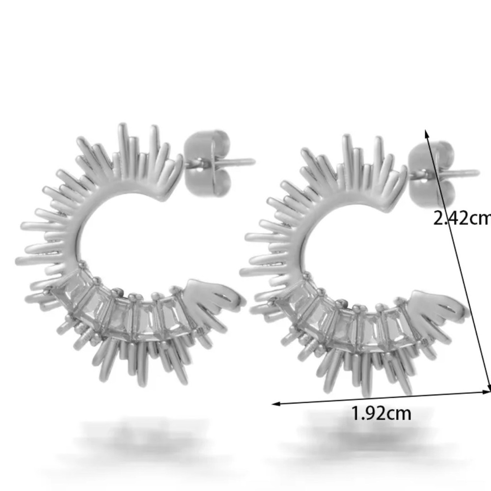 Elegant Silver Hoop Earrings